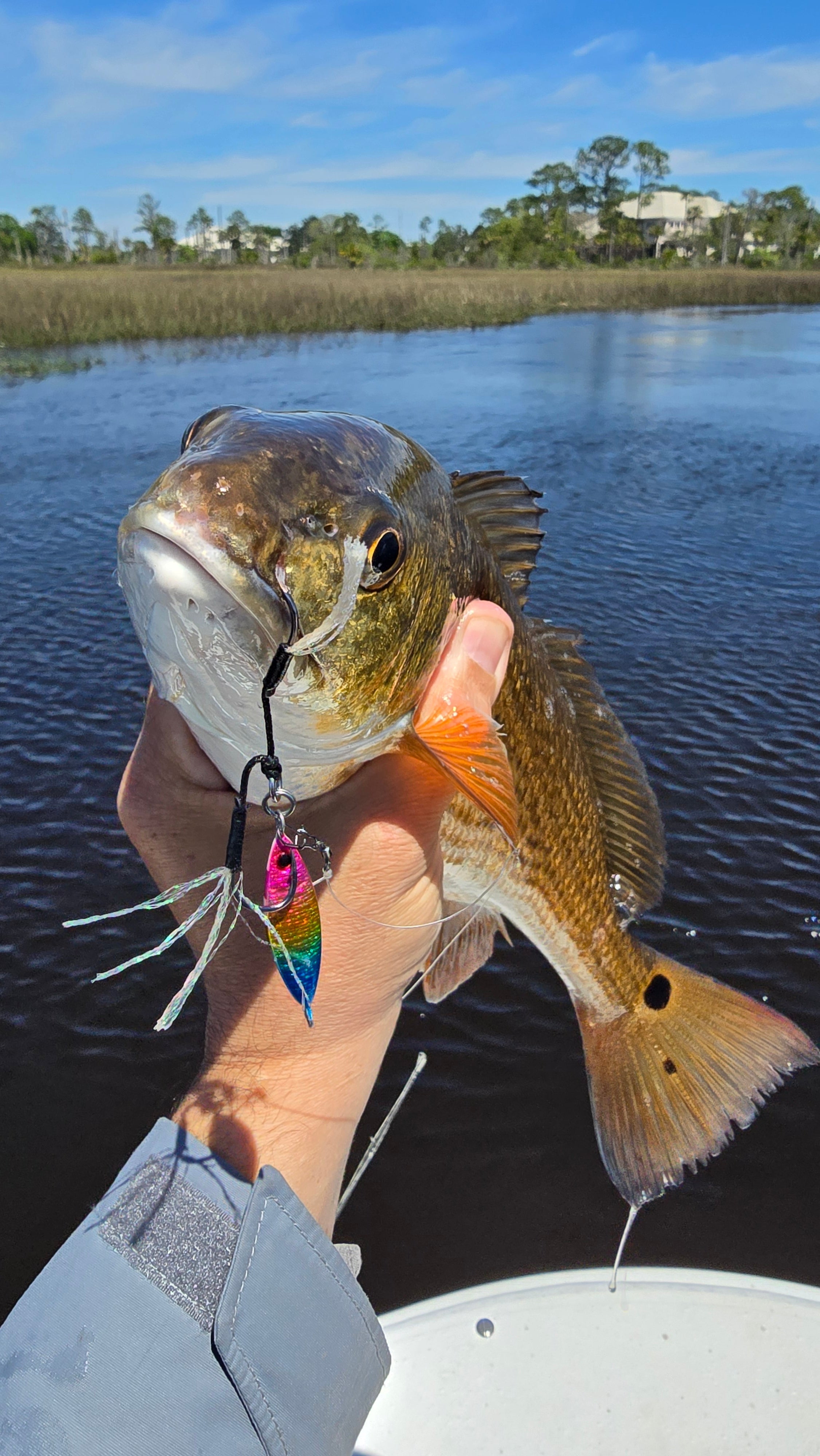 Top common mistakes in pitch fishing
