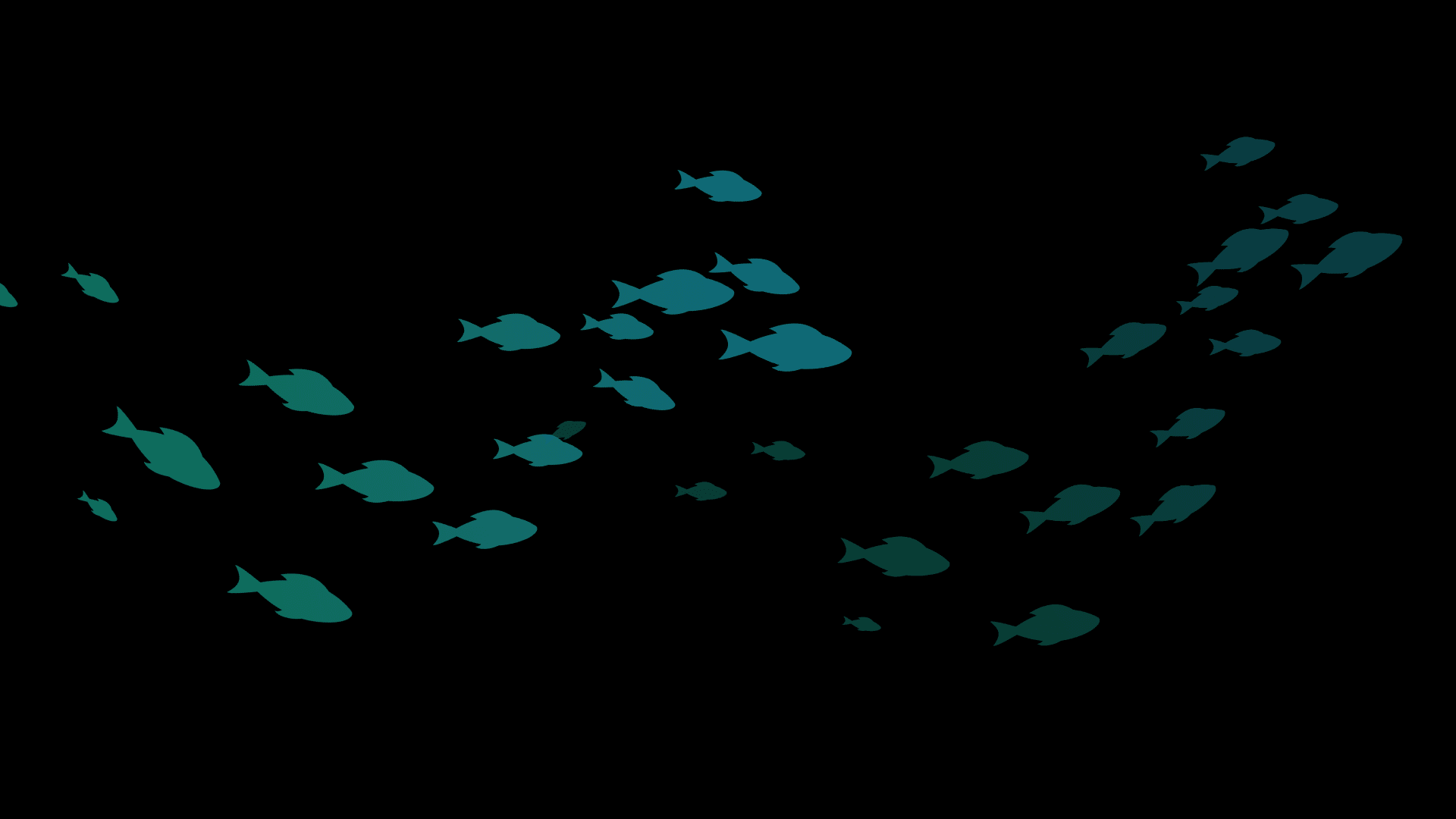 Fishing Gear Bundles | Freshwater & Saltwater - Submission Fishing Co.