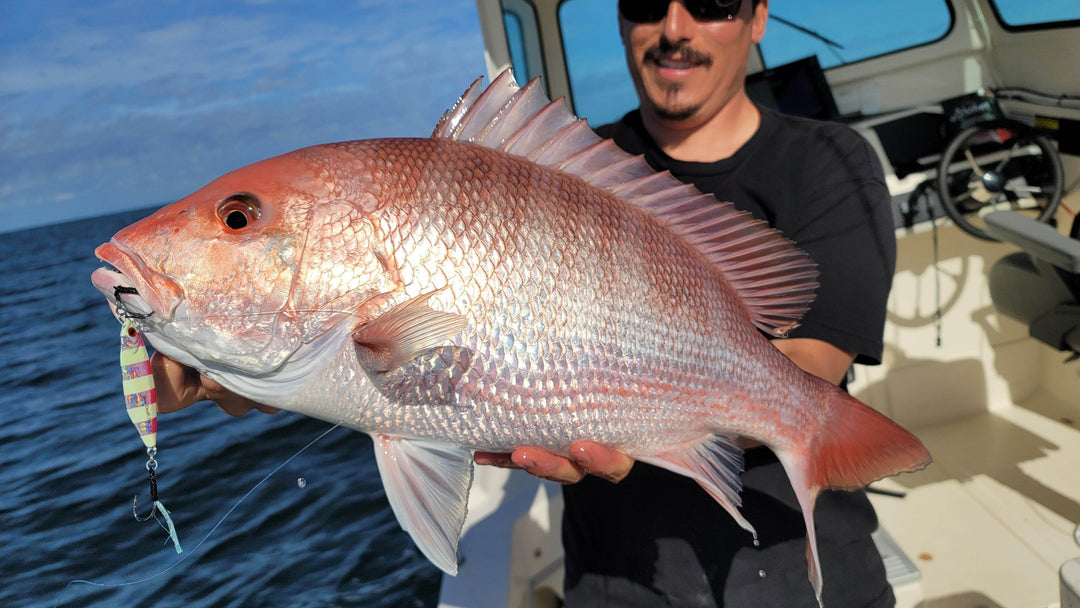 Submission Jigs - Mercenary - Middleweight Division - Submission Fishing Co.
