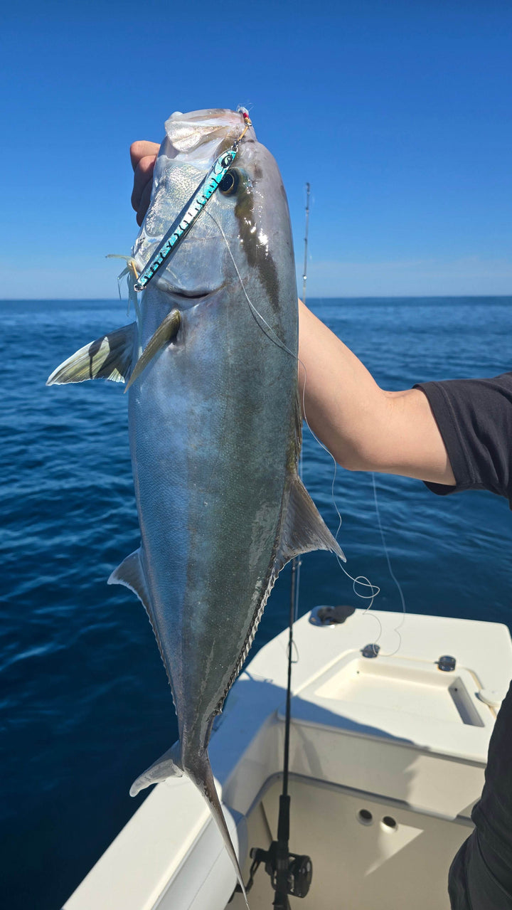 Hurricane Milton SALE - Submission Jigs - Ogre - Submission Fishing Co.