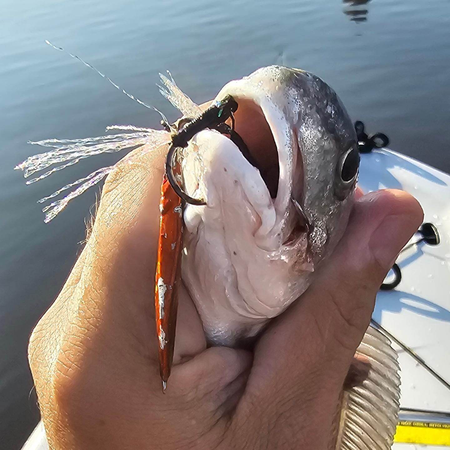 Submission Jigs - Micro Mercenary - Lightweight Division - 4 Packs - Submission Fishing Co.