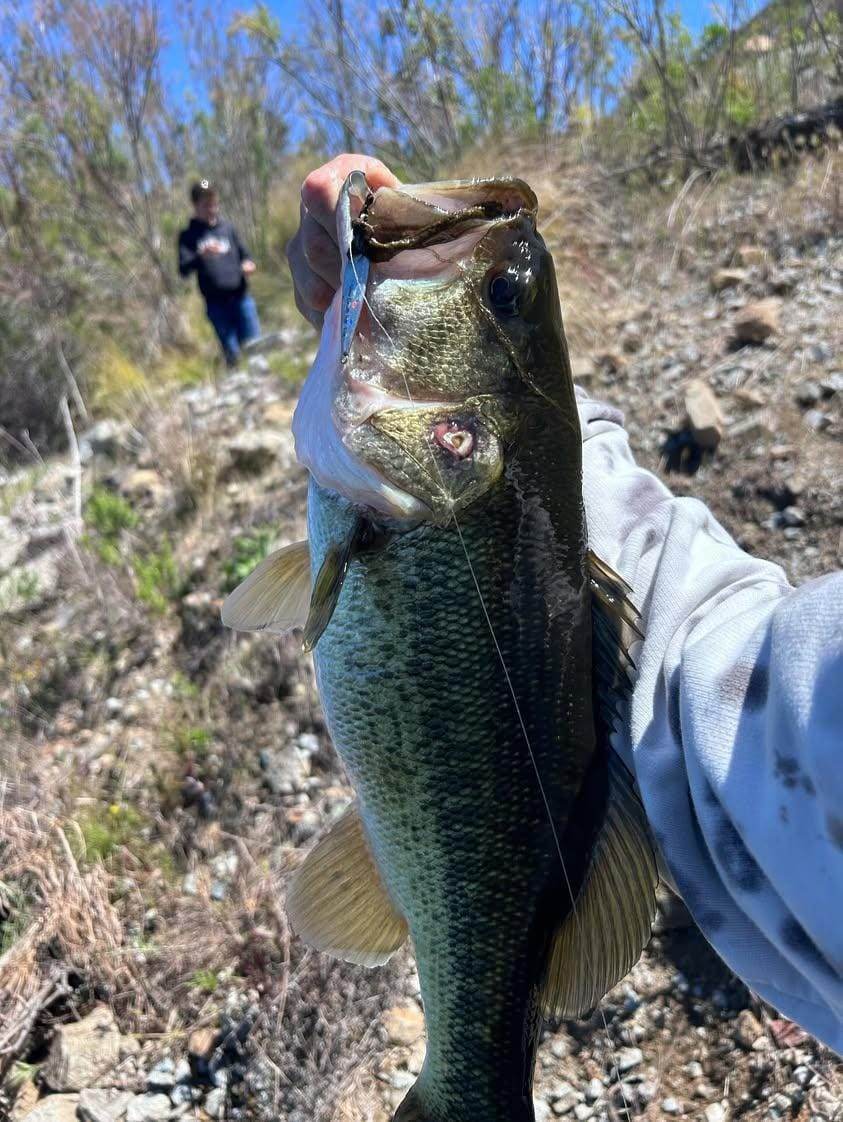 Submission Jigs - Micro Mercenary - Lightweight Division - Submission Fishing Co.