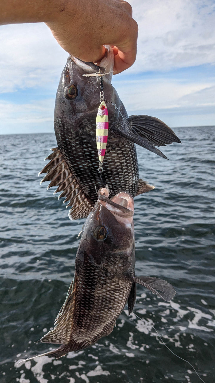 Submission Jigs - Mercenary - Middleweight Division - Submission Fishing Co.