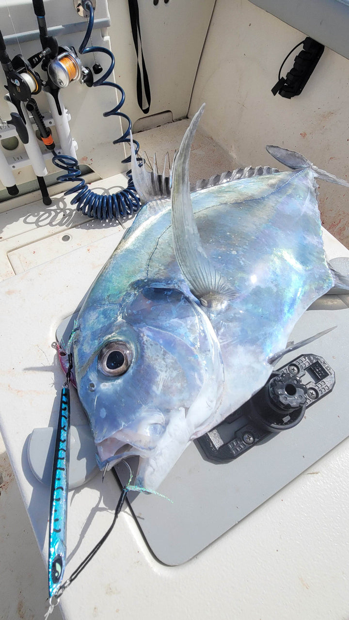 Hurricane Milton SALE - Submission Jigs - Ogre - Submission Fishing Co.