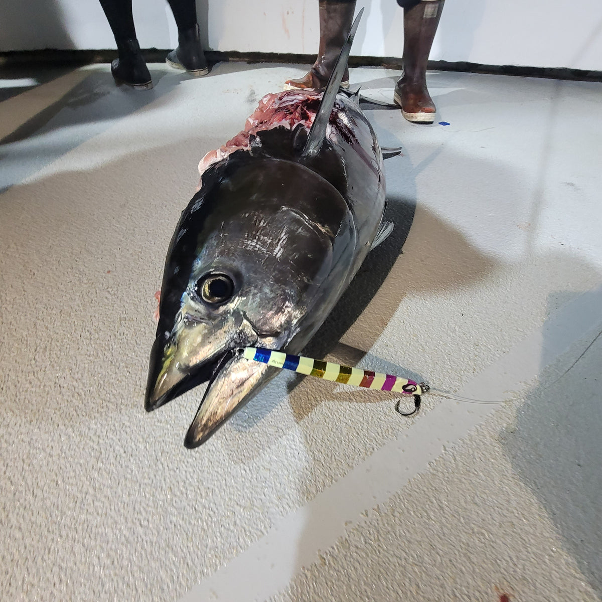 Top 5 Tips for Using Slow Pitch Jigging to Catch Pelagic Fish Offshore - Submission Fishing Co.