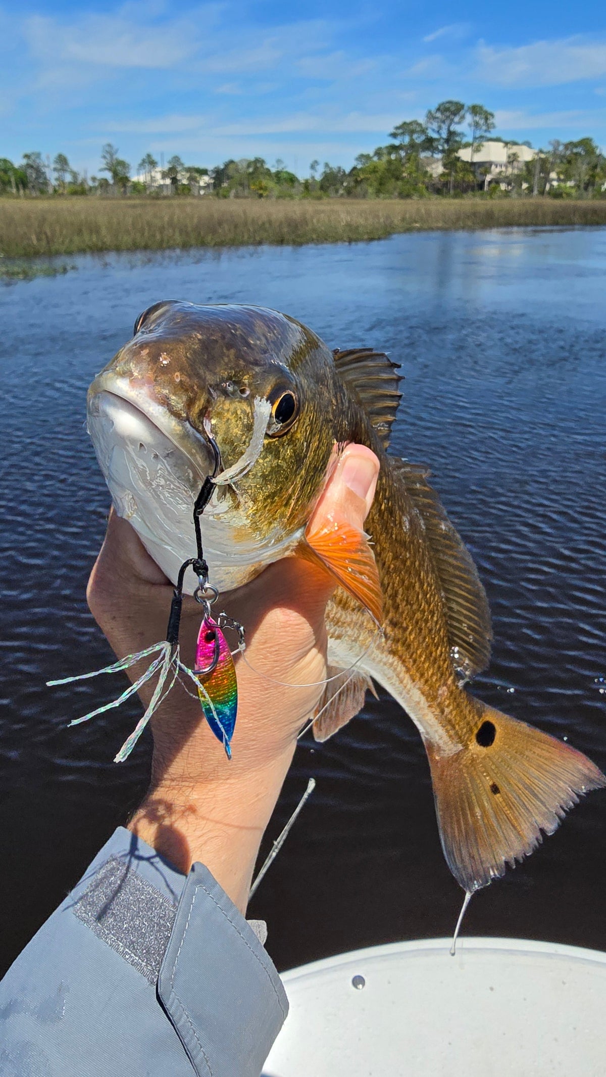 5 mistakes you might be making at slow pitch jigging - Submission Fishing Co.