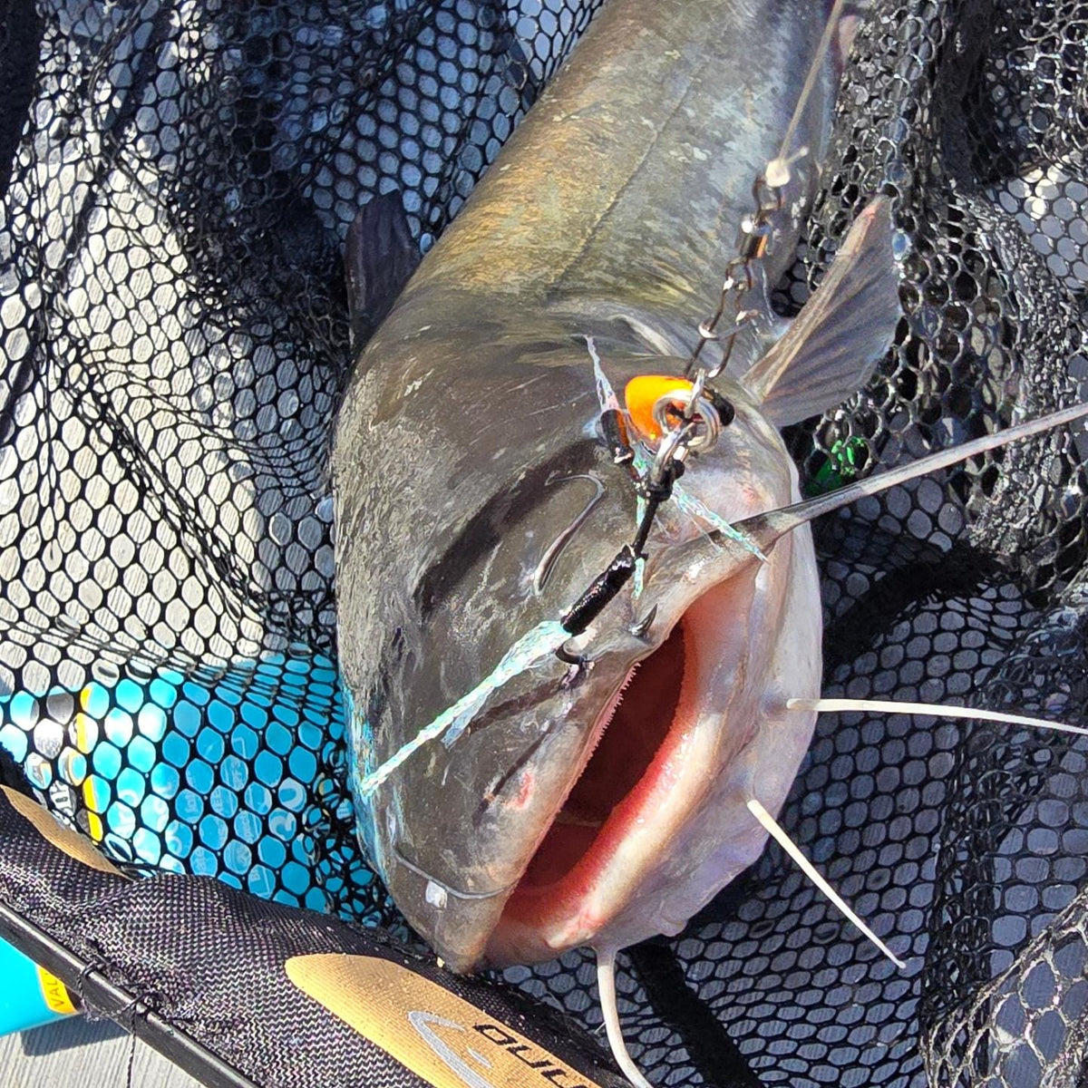 Is slow pitch jigging the best form of fishing? - Submission Fishing Co.