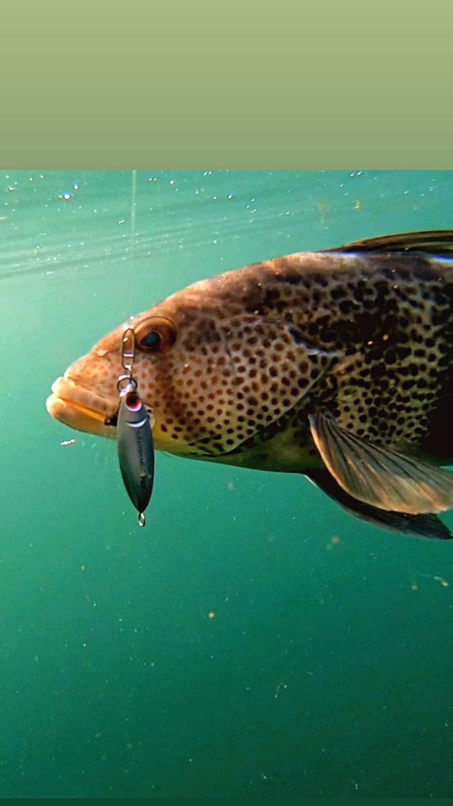 Are You Making These 3 Slow Pitch Jigging Mistakes? - Submission Fishing Co.