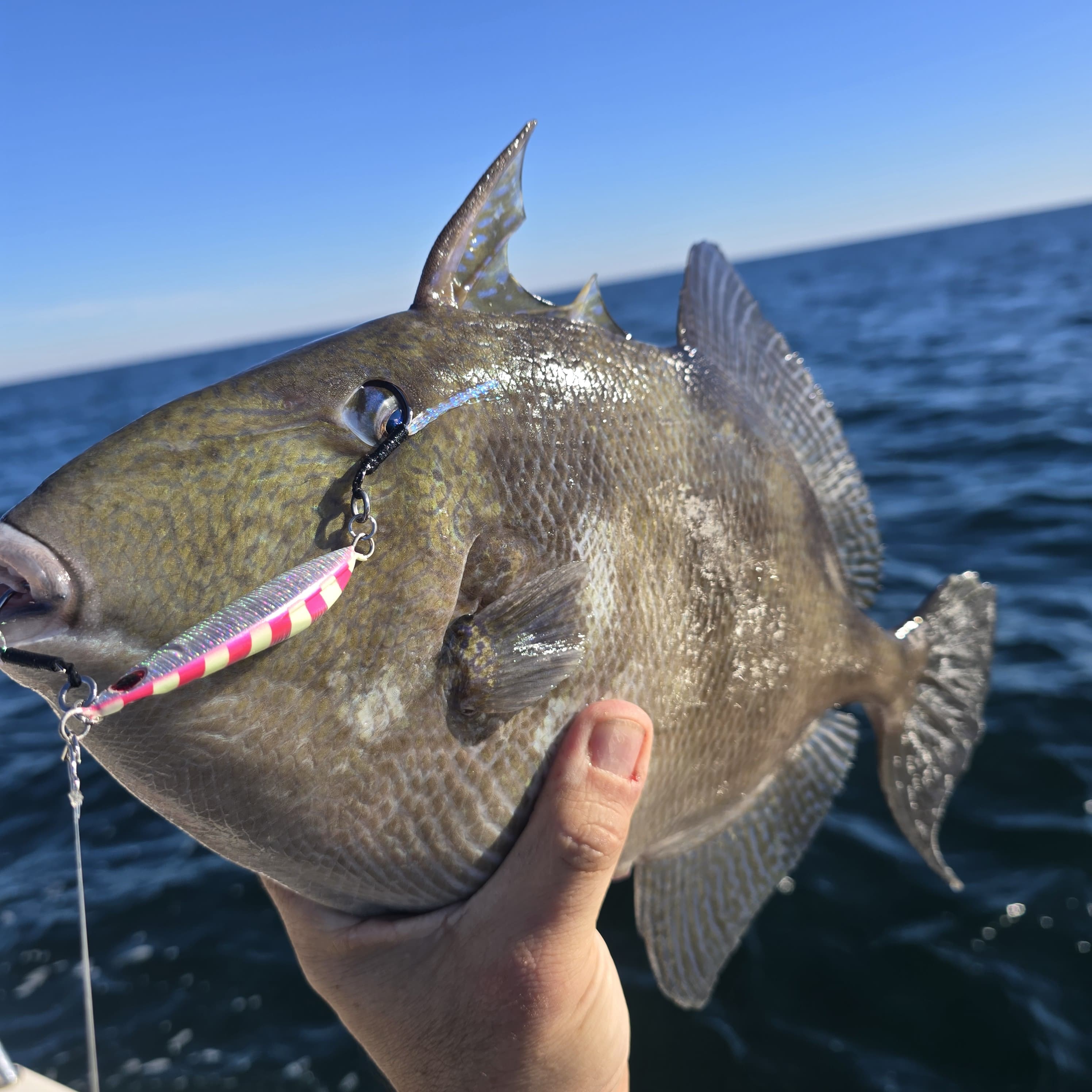 What Is Slow Pitch Jigging? (And Why It Works When Nothing Else Does)