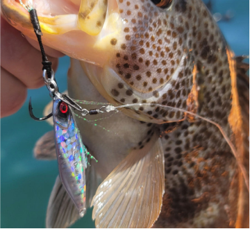 Reading Fish Behavior Through Jig Feedback