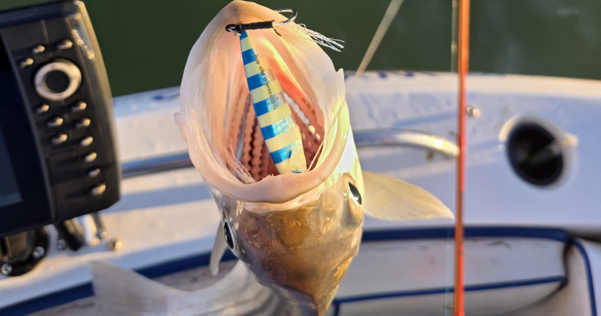 Choosing Jig Colors Based on Water Clarity and Light Conditions