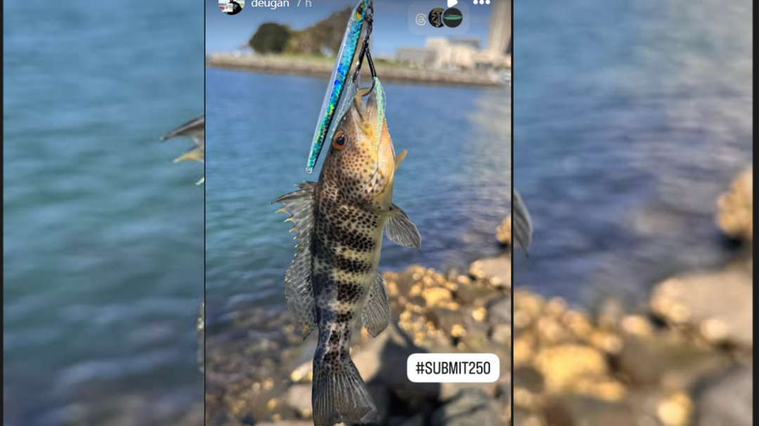 Slow Pitch Jigging vs. Speed Jigging: Which One Should You Be Fishing?