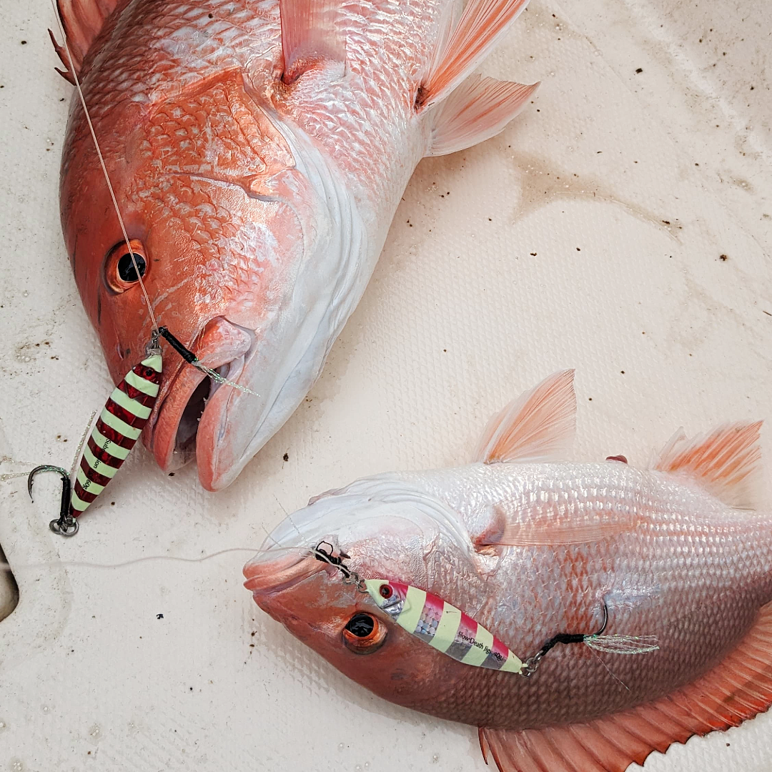 Slow Pitch Jigging Explained: Terms, Micro Jigs, and the Submission Fishing Mindset