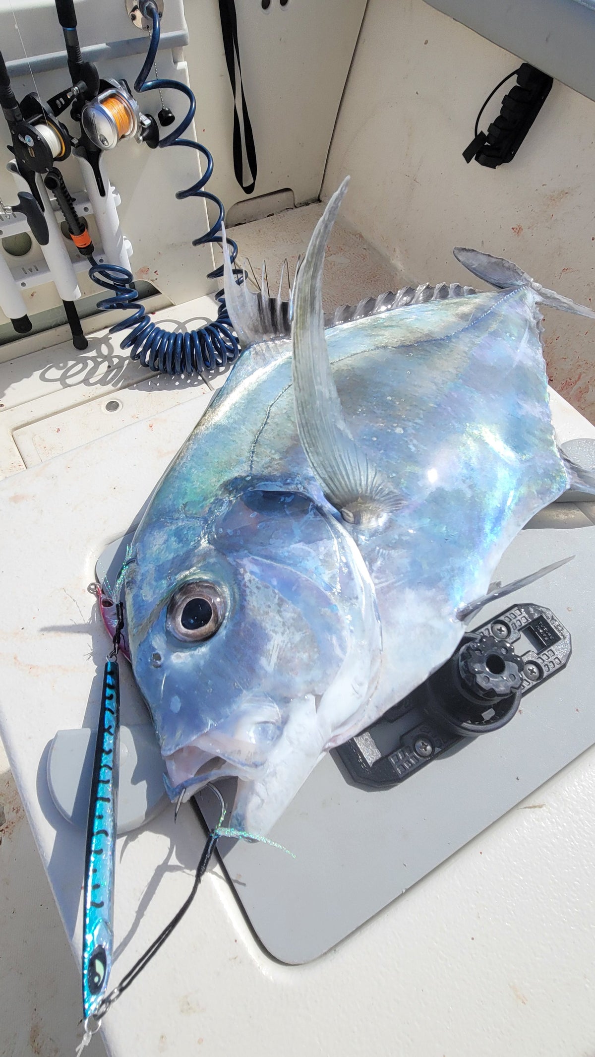 5 Reasons Why Slow Pitch Jigging Doesn't Work for You - Submission Fishing Co.