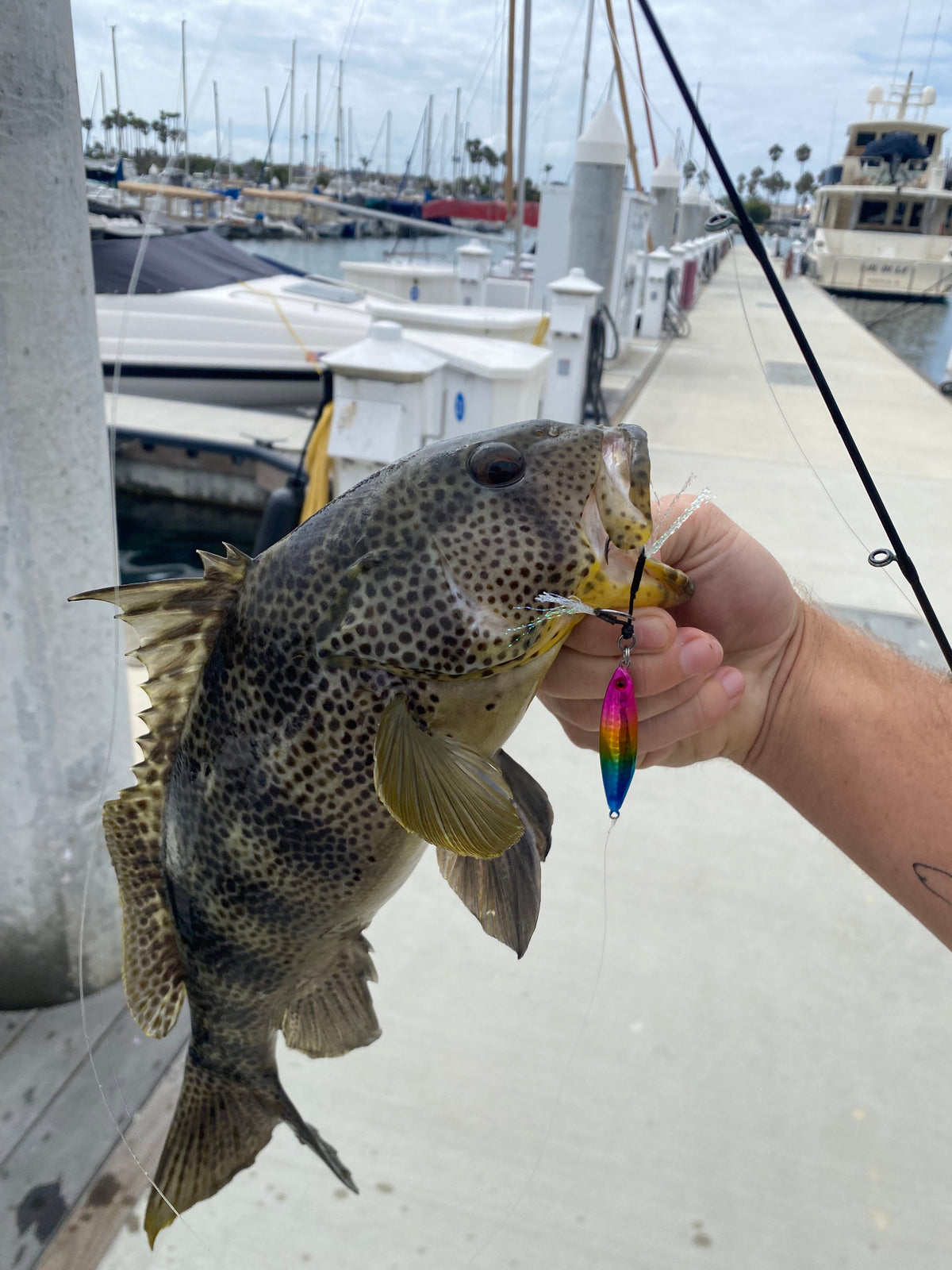 Best Jigs for Cold Weather Fishing - Submission Fishing Co.