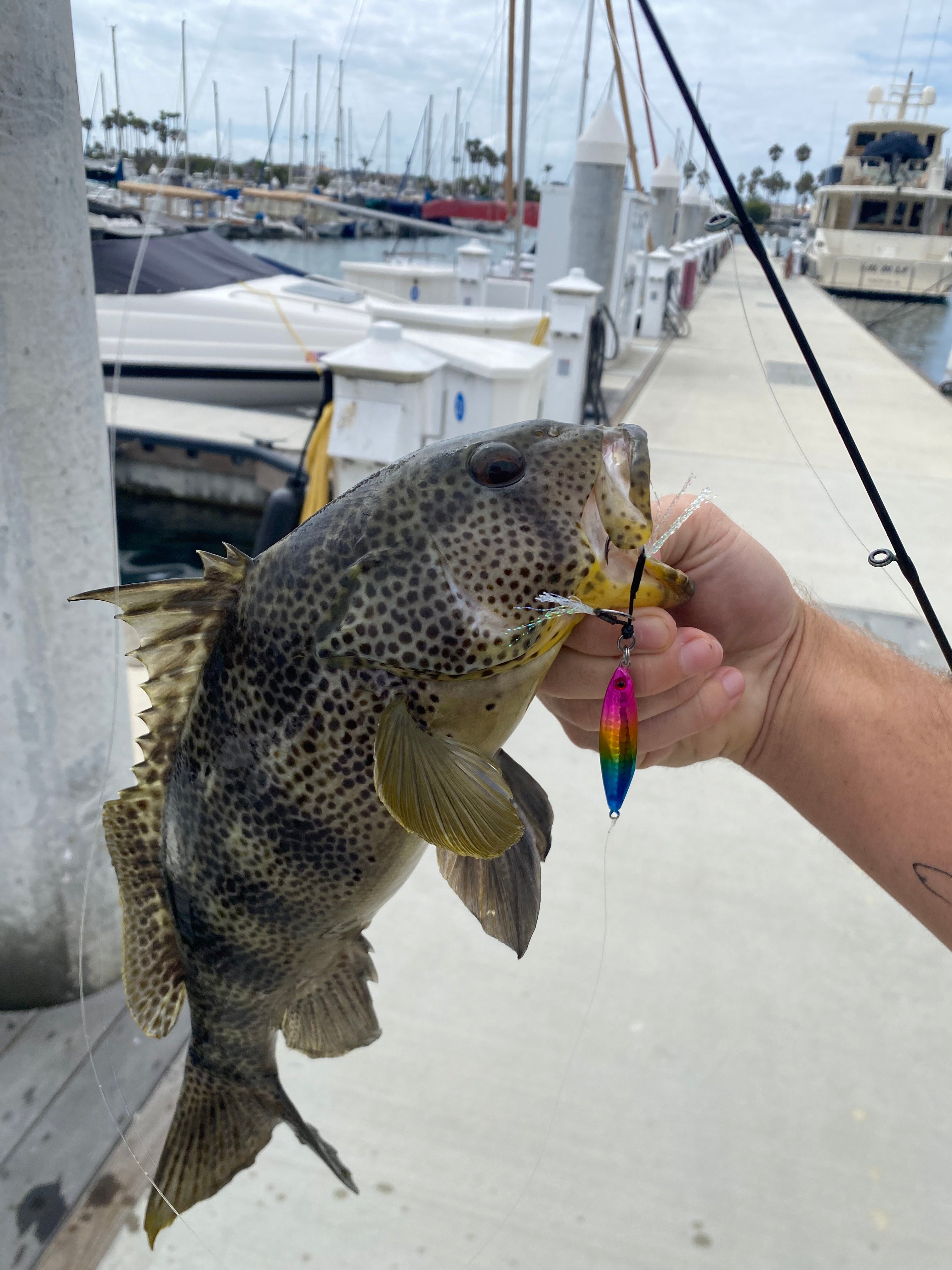 Best Jigs for Cold Weather Fishing - Submission Fishing Co.