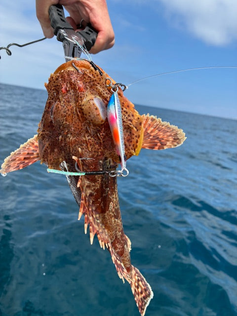 How to Choose the Right Jig Weight for Depth and Current (The Simple Formula That Actually Works)