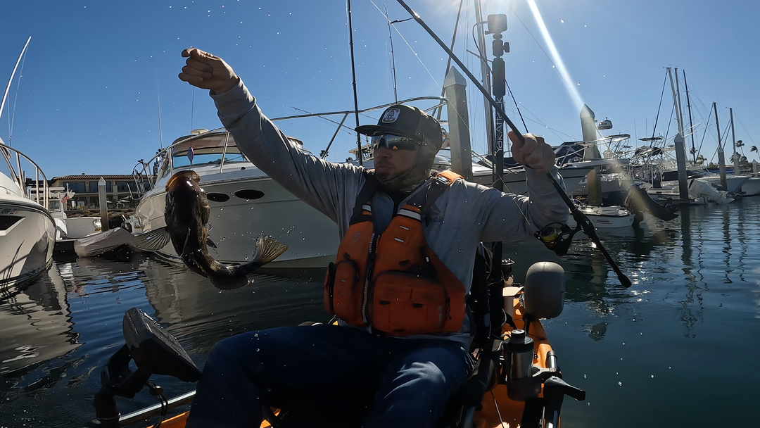 Dock Fishing with Submission Jigs: The Complete Guide