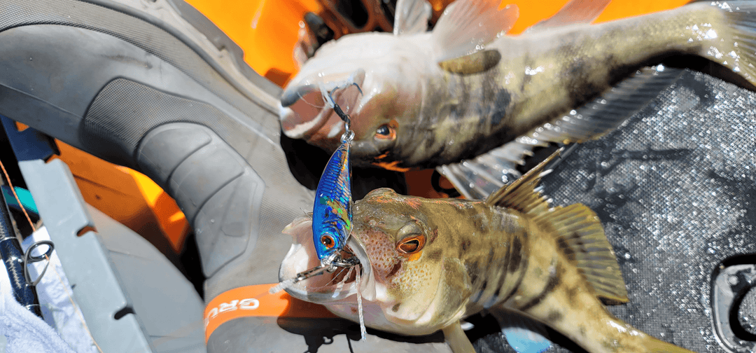 Submission Jigs - Lightweight Division - Submission Fishing Co.