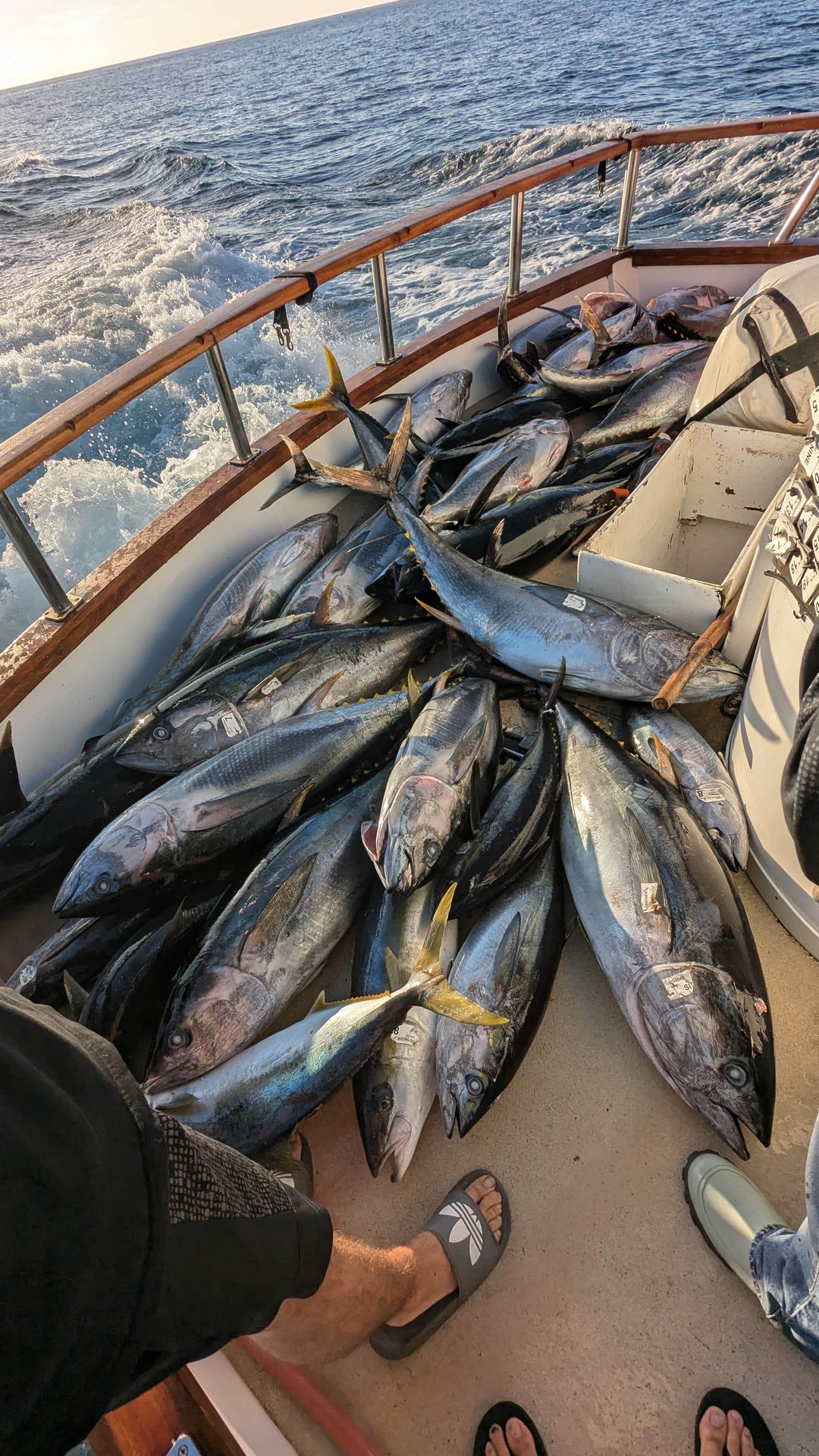 Submission Jigs - All Jigs and Hooks 10g - 600g - Submission Fishing Co.