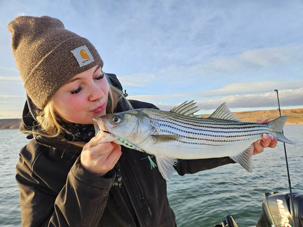 Submission Jigs - Freshwater Gear - Submission Fishing Co.
