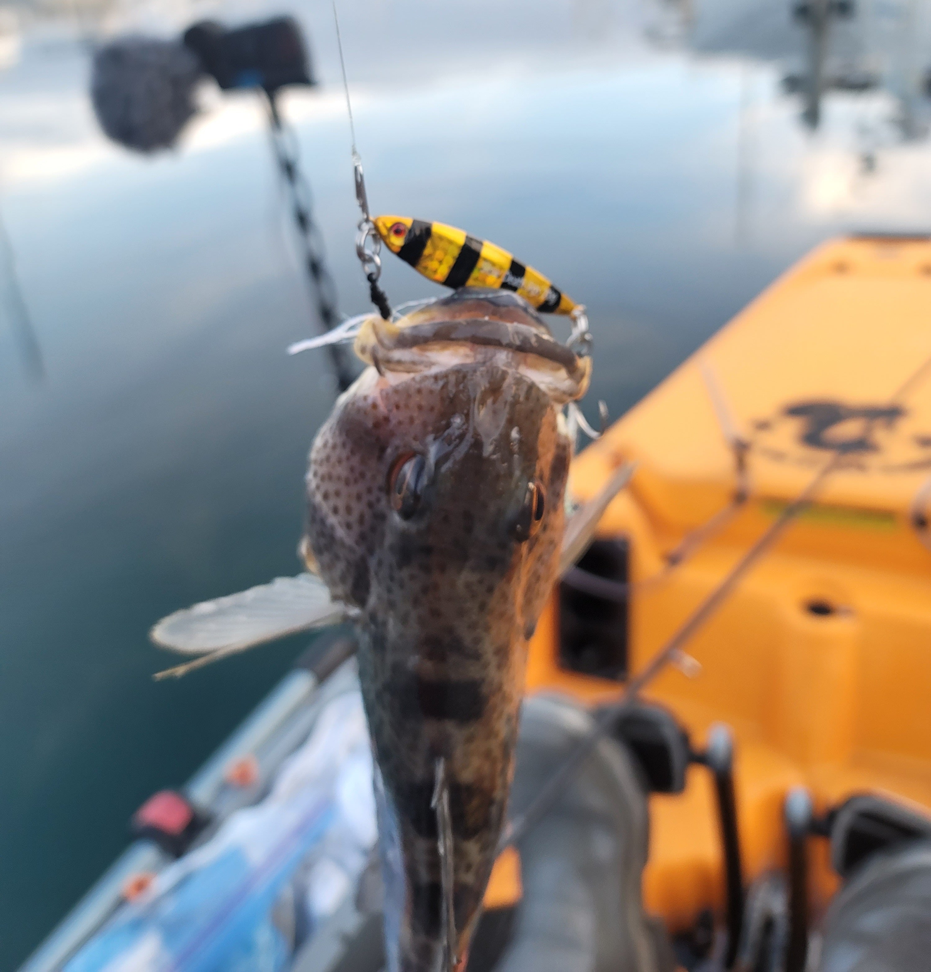 Fishing hook with a fish on a blurred background of water and a boat.