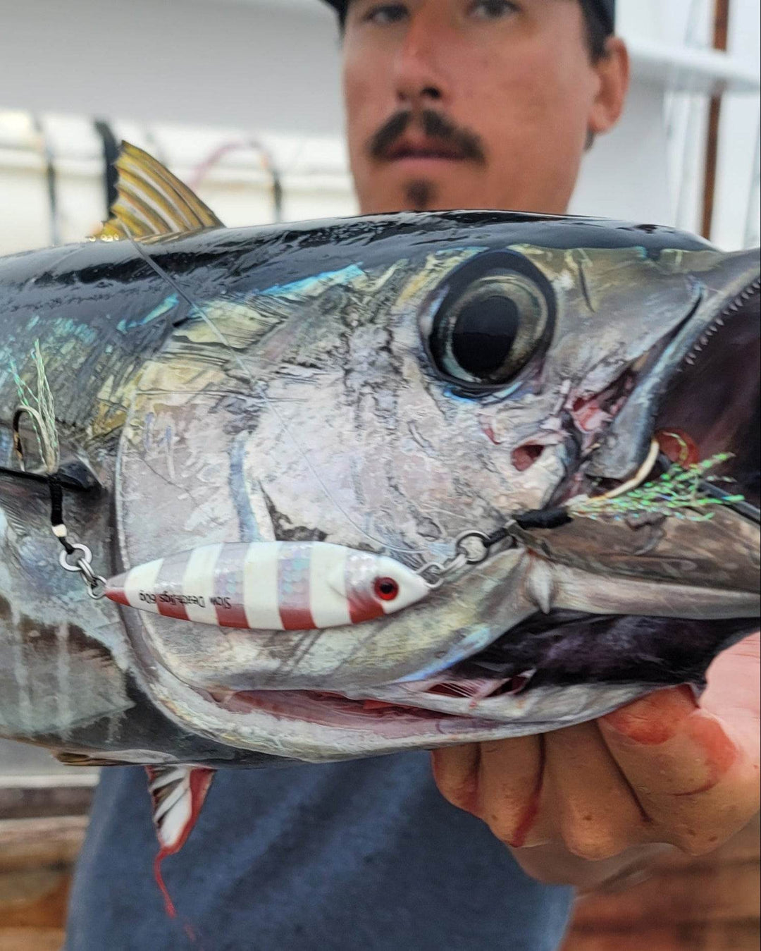20220823_075145_49b74aa8-3877-4f91-9ea2-adb6274929f5 - Submission Fishing Co.