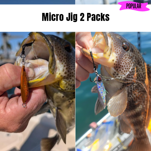 Submission Jigs - Micro Sumo and Mercenary - Lightweight Division - 2 packs