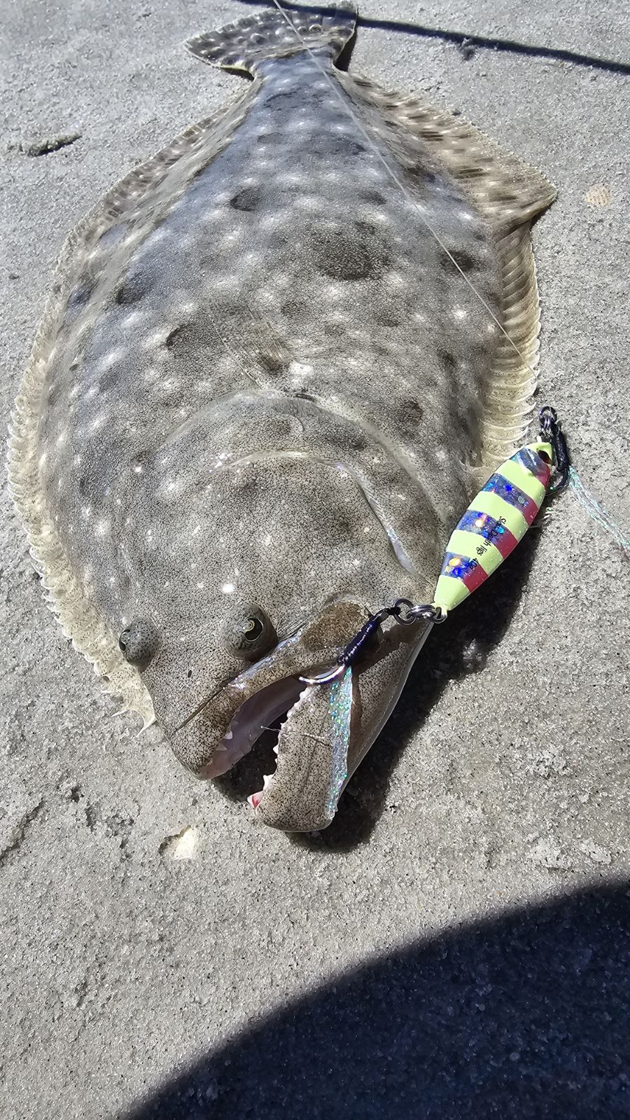 Submission Jigs - Mercenary - Lightweight Slow Pitch Jigs