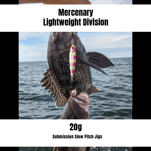 Submission Jigs - Mercenary - Lightweight Division