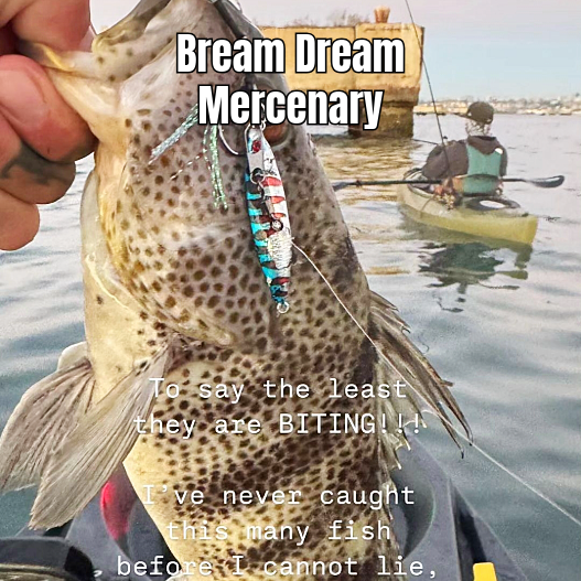 Submission Jigs - Micro Sumo and Mercenary - Lightweight Division - 2 packs