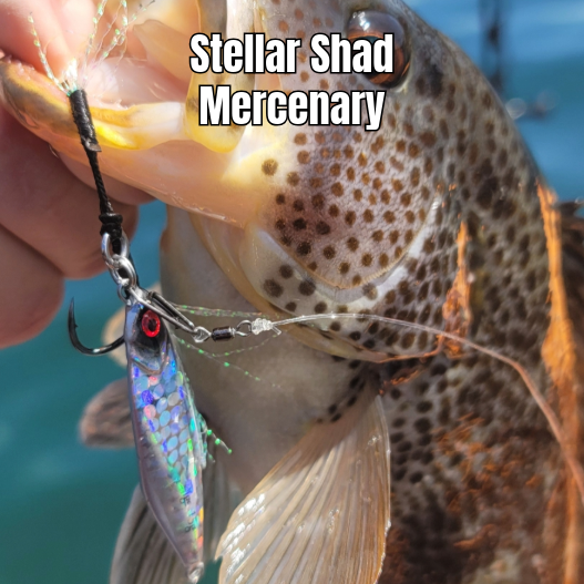 Submission Jigs - Micro Sumo and Mercenary - Lightweight Division - 2 packs