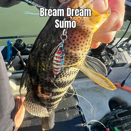 Submission Jigs - Micro Sumo and Mercenary - Lightweight Division - 2 packs