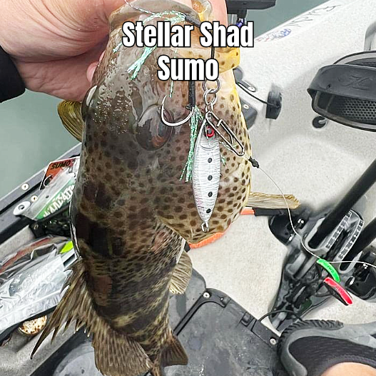 Submission Jigs - Micro Sumo and Mercenary - Lightweight Division - 2 packs