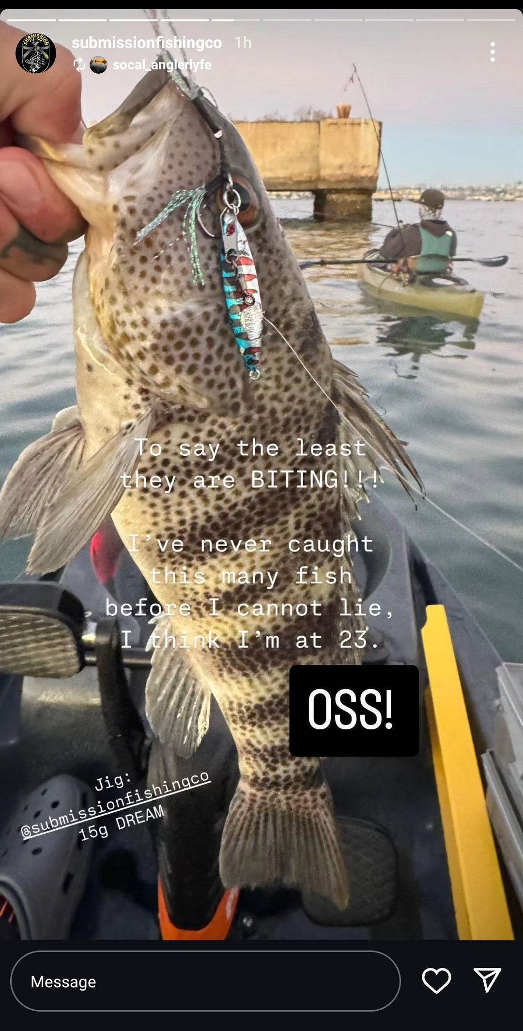 Submission Jigs - Micro Mercenary - Lightweight Division - 4 Packs - Submission Fishing Co.