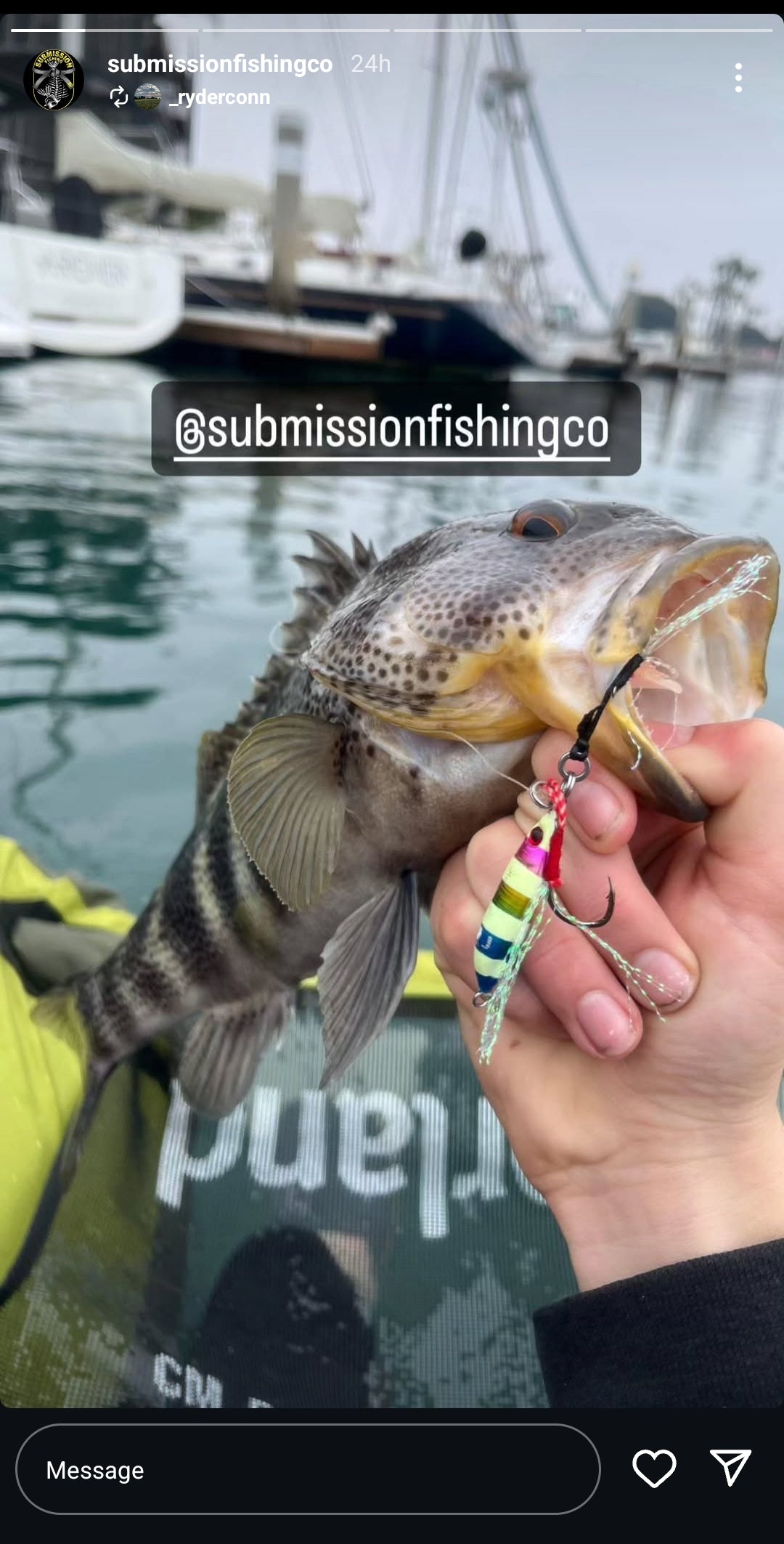 Submission Jigs - Micro Sumo and Mercenary - Lightweight Division