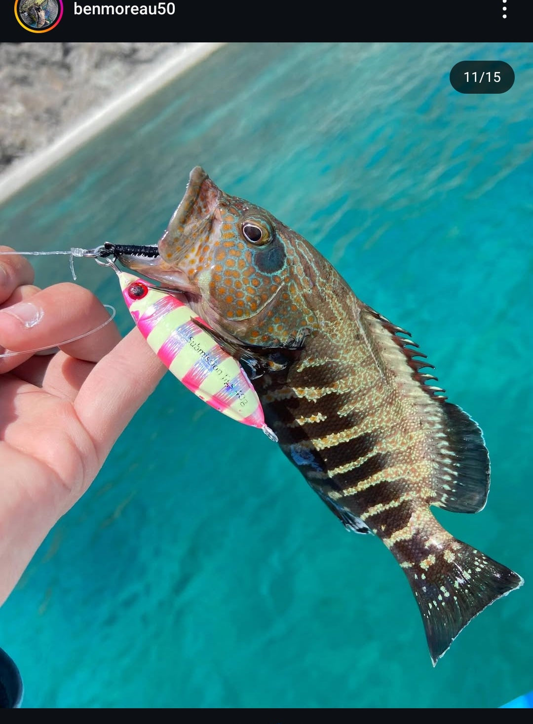 Person holding a fish with a colorful lure against a pool background