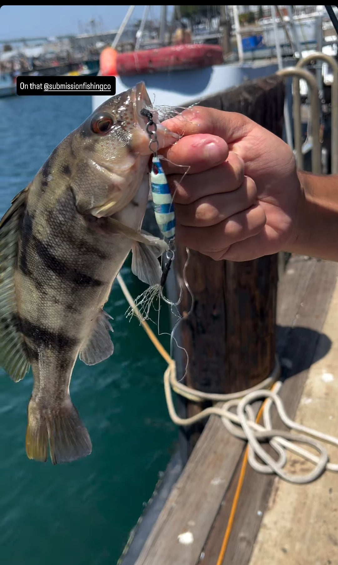 Person holding a fish caught on a hook near a dock with water in the background