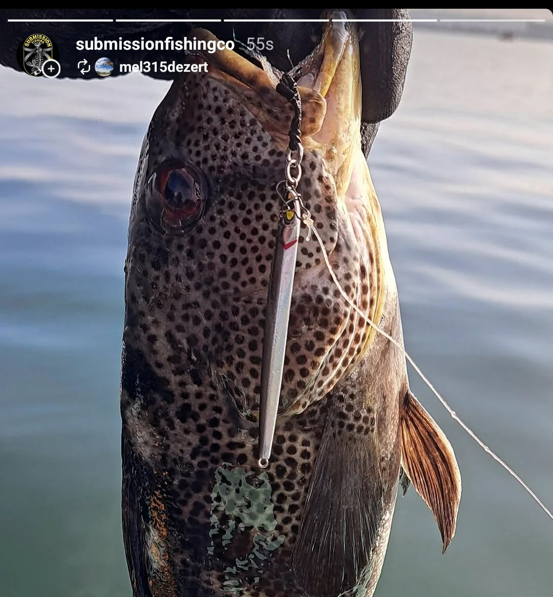Fishing line with a speckled fish hanging from it against a water background
