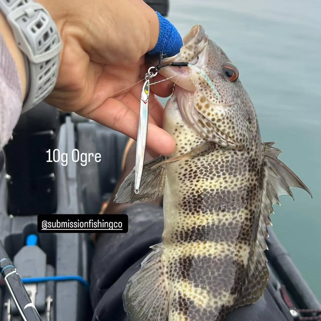 Person holding a fish caught on a fishing line with a visible hook, over a blurred background of water and equipment.