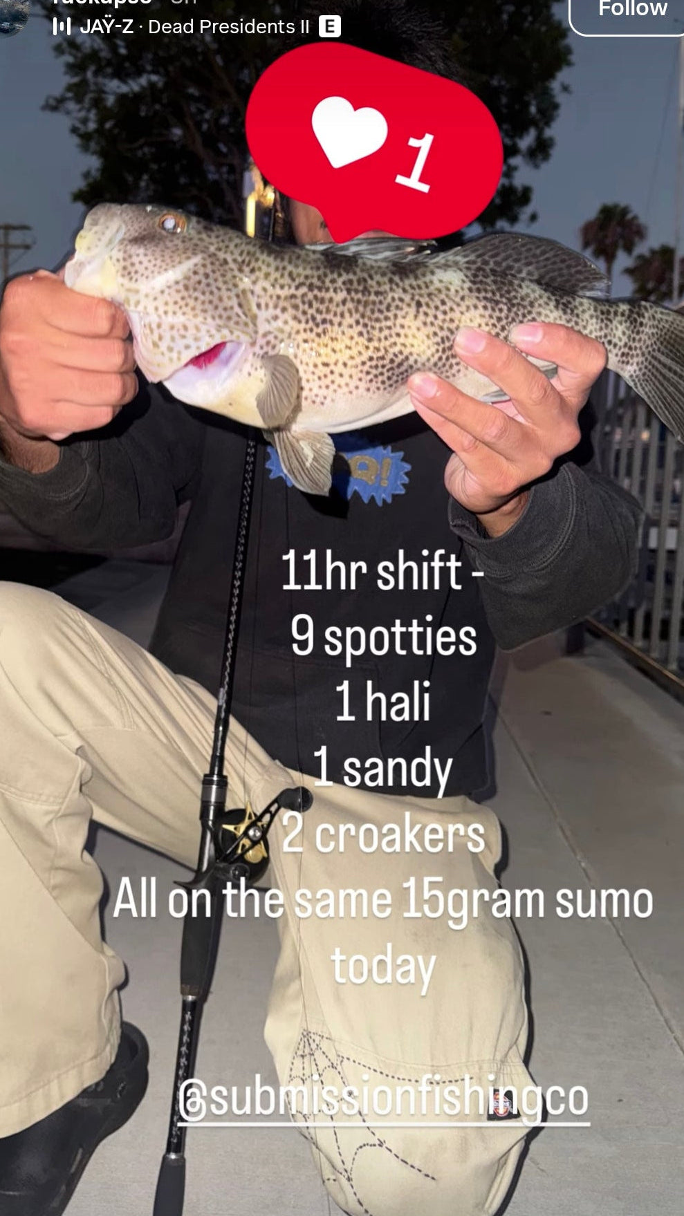 A person kneeling outdoors at dusk holding a large spotted fish, with a fishing rod and overlaid text about fishing stats. The face is obscured by a red heart sticker, and the scene appears to be a social media-style post rather than a clean product listing.