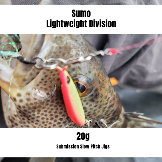 Submission Jigs - Sumo - Lightweight Division