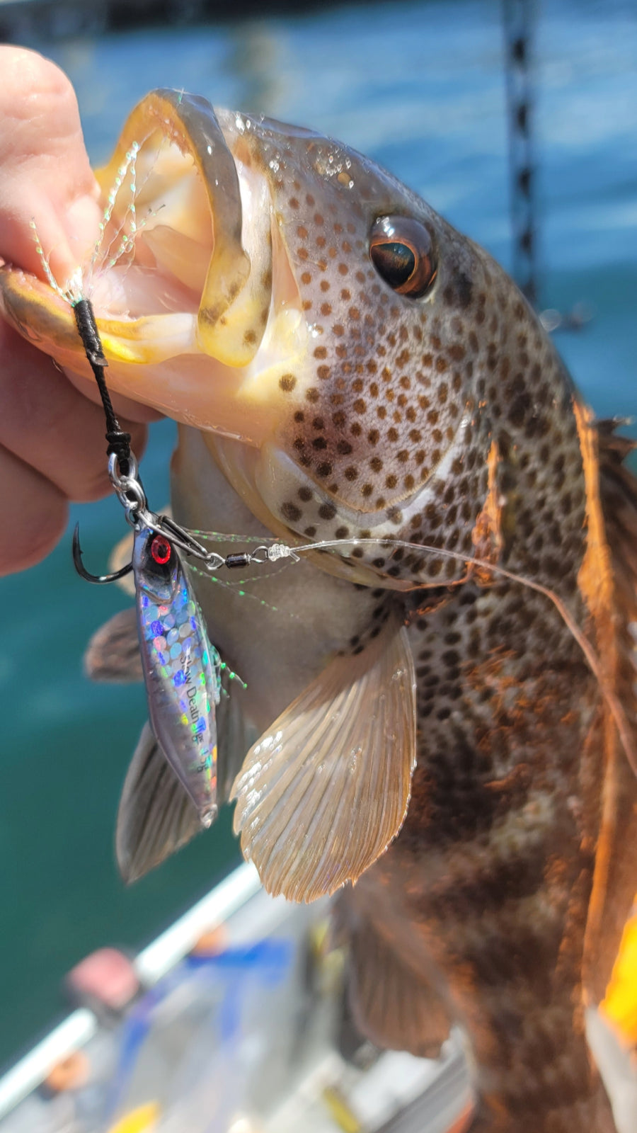 Submission Jigs - Micro Sumo and Mercenary - Slow Pitch Jigs - 4 Packs