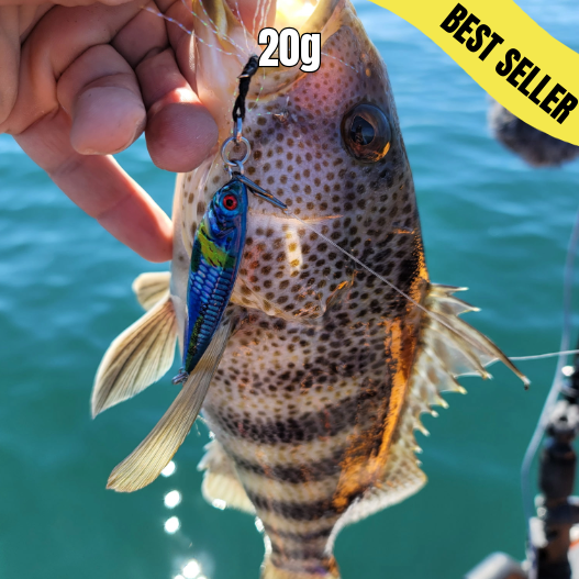 Submission Jigs - Mercenary - Lightweight Division