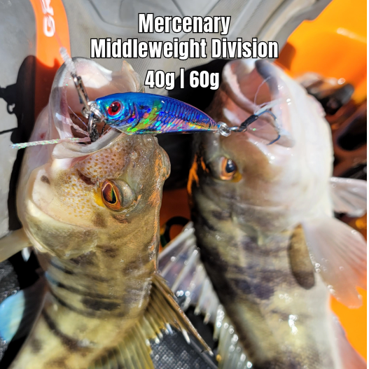 Submission Jigs - Mercenary - Middleweight Division