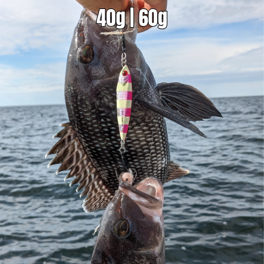 Submission Jigs - Mercenary - Middleweight Division