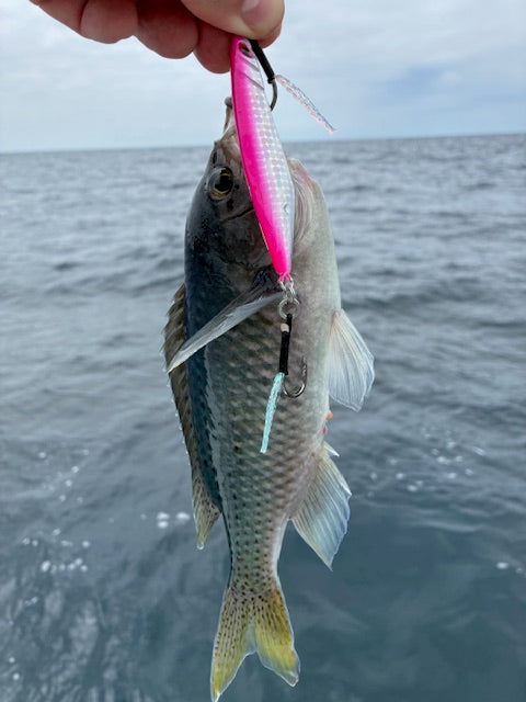 Submission Jigs - Mercenary - Lightweight Slow Pitch Jigs