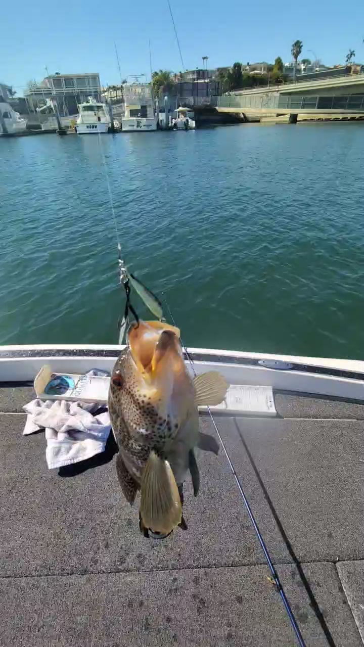 Micro Sumo - The Spottie - 15g Slow Pitch Jig