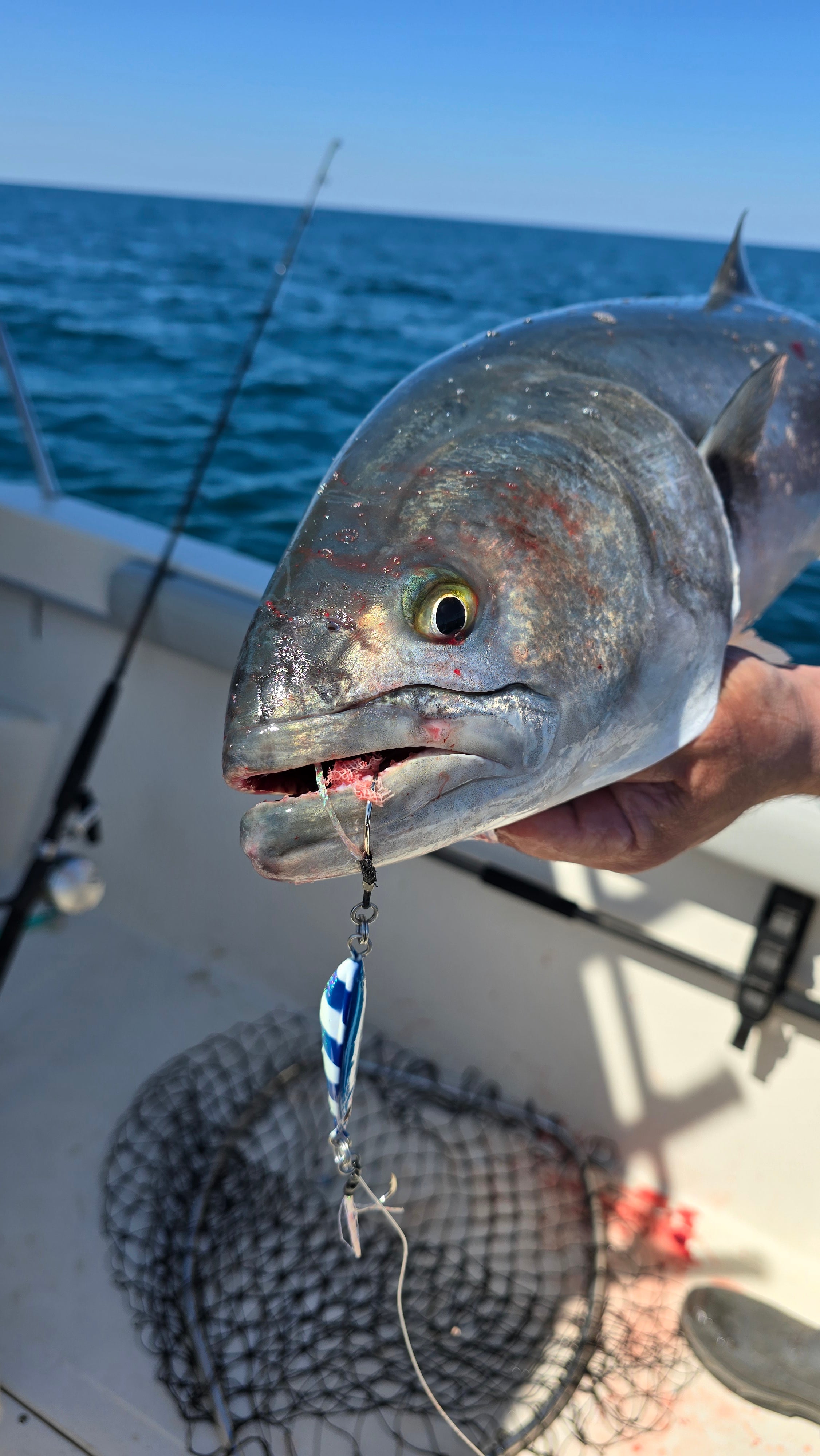 Fishing line with a hook and a fish on a boat