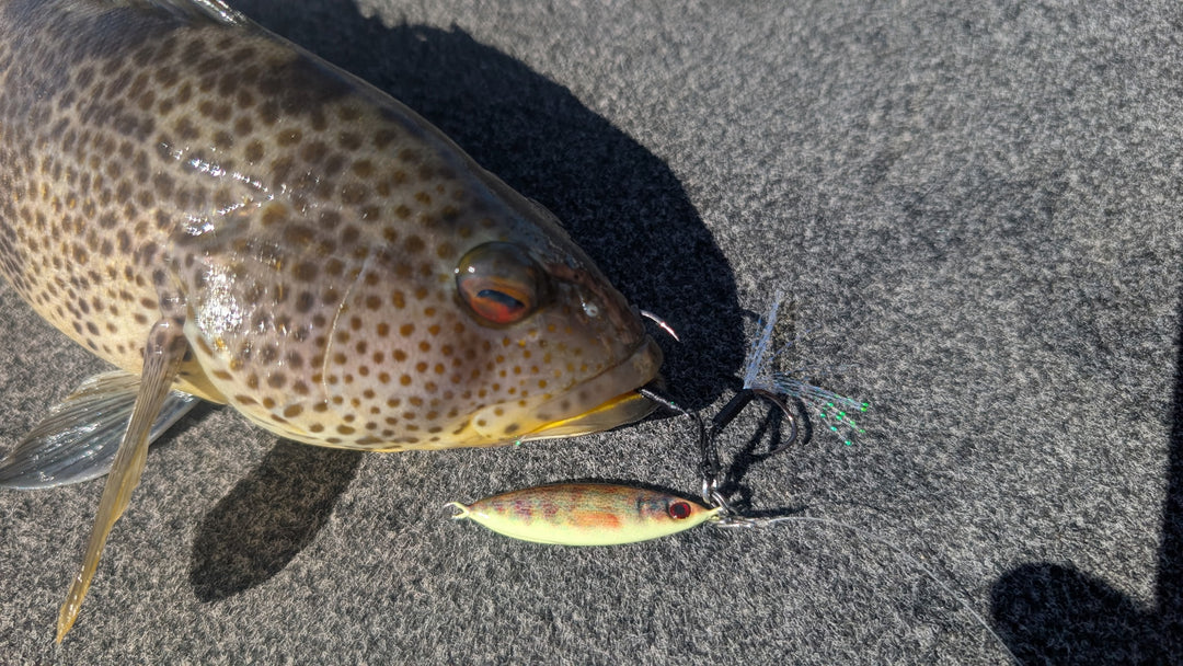 Micro Sumo The Spottie 15g Slow Pitch Jig